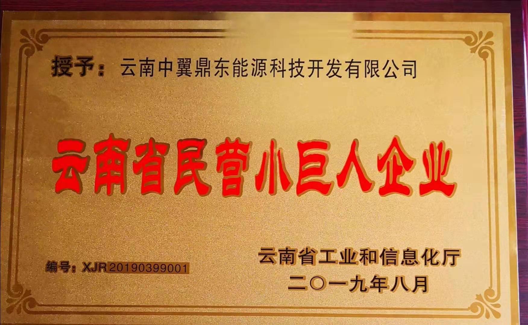 云南省民营小巨人企业